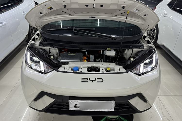 Used BYD Seagull 2024 Honor Edition 305km Freedom Version
