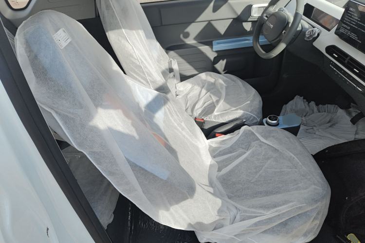 Used  Panda 2024 Panda Mini 200km Endurance Bear