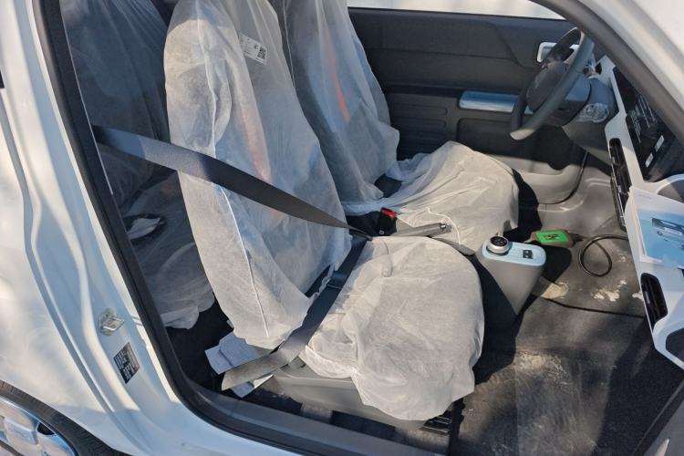 Used  Panda 2024 Panda Mini 200km Endurance Bear