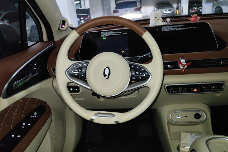 Used ORA Good Cat 2024 501 km Luxury Version