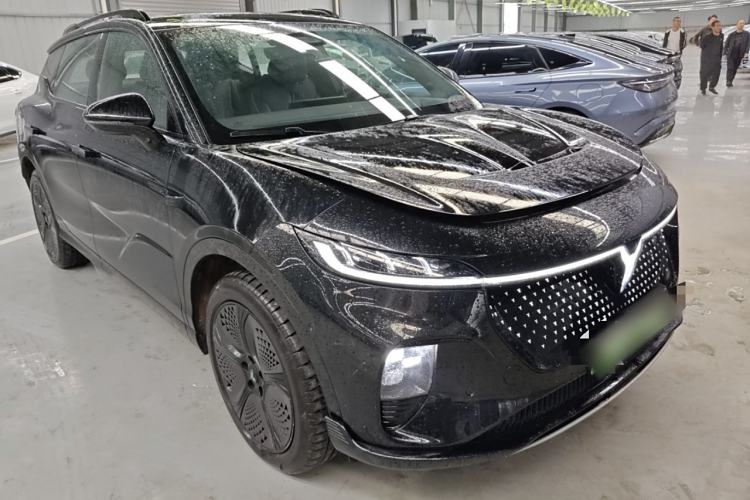 Used VOYAH COURAGE 2024 Four-Wheel Drive Global Edition
