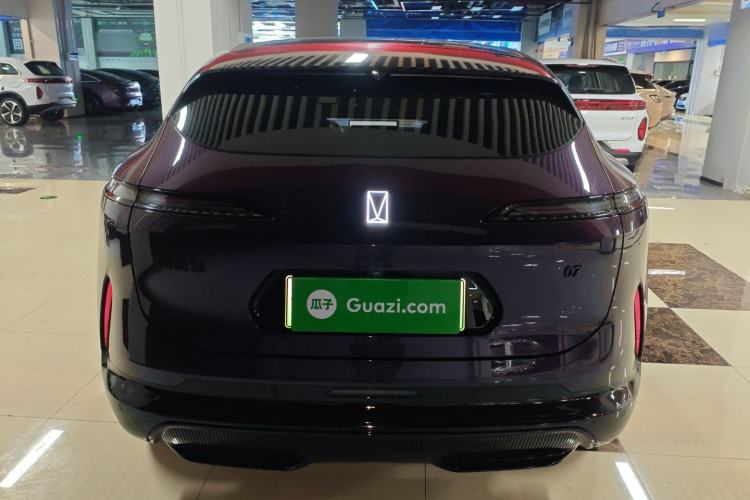 Used  07 2024 Max Extended-Range Edition
