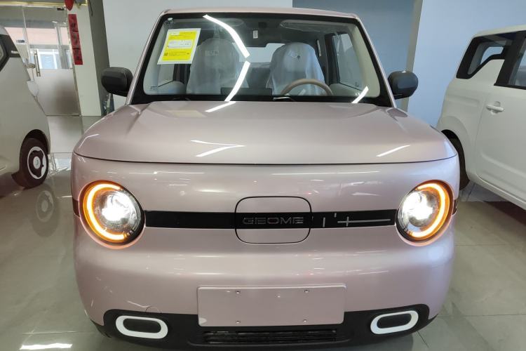 Used  Panda 2025 210 km – Yuanqi Bear