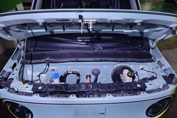 Used  Panda 2024 Panda Mini 200km Endurance Bear