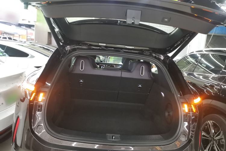 Used  07 2024 Max Extended-Range Edition
