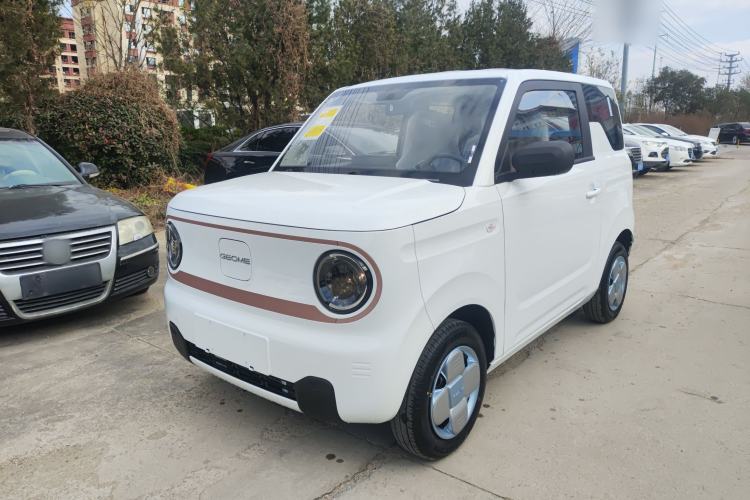 Used  Panda 2024 Panda Mini 200km Endurance Bear
