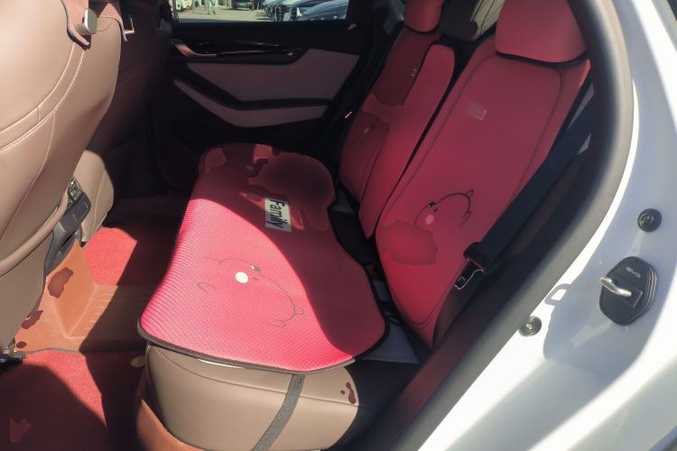 Used BYD Qin PLUS 2024 HONOR Edition DM-i 55KM Leading Model
