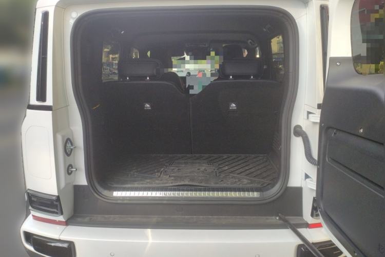 Used  V23 2025 501 Four-Wheel Drive Advanced Version
