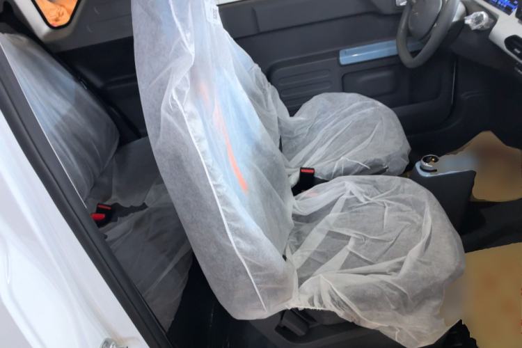 Used  Panda 2024 Panda Mini 200km Endurance Bear
