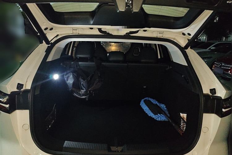 Used Roewe RX5 2023 1.5T Elite Edition
