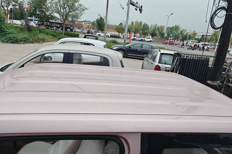 Used  Panda 2024 Panda Mini 200km Endurance Bear
