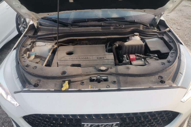 Used Haval M6 2019 1.5T DCT Two-Wheel Drive Elite Version China VI Standard
