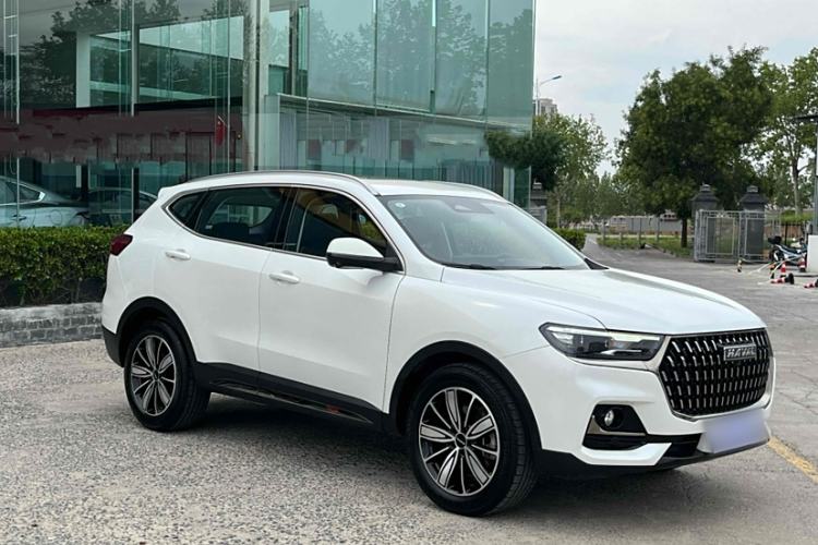 Used Haval H6 2023 National Trend Edition 1.5T Automatic Champion Version
