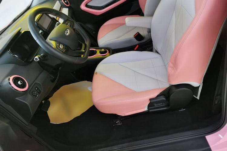 Used Chery Little Ant 2023 251km True Love Edition Lithium Iron Phosphate
