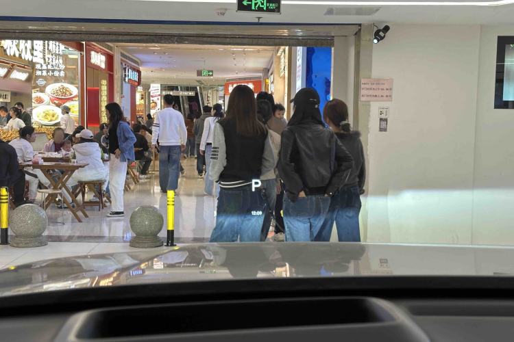 Used Li Auto L9 2022 Max model