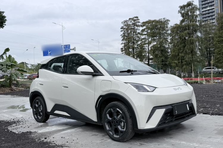 Used BYD Seagull 2025 305 km Free Version
