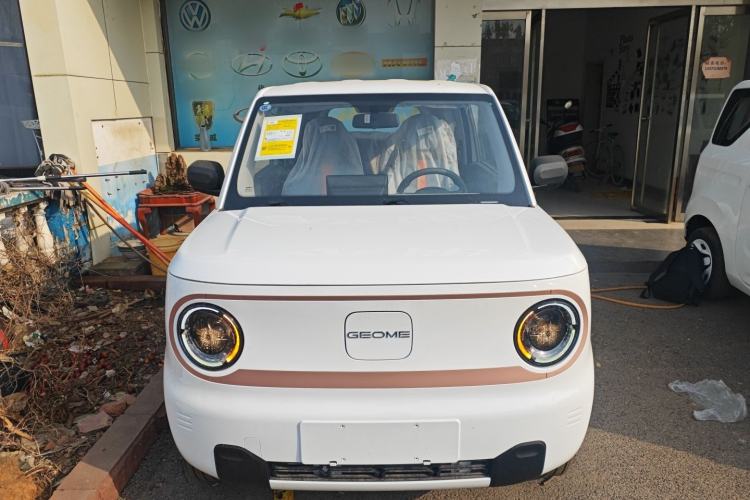 Used  Panda 2024 Panda Mini 200km Endurance Bear
