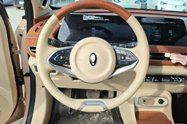 Used ORA Good Cat 2024 401 km Range Luxury Version 135 kW