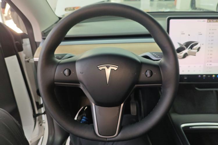 Used Tesla Model Y 2021 Long-Range All-Wheel-Drive Version 3D7