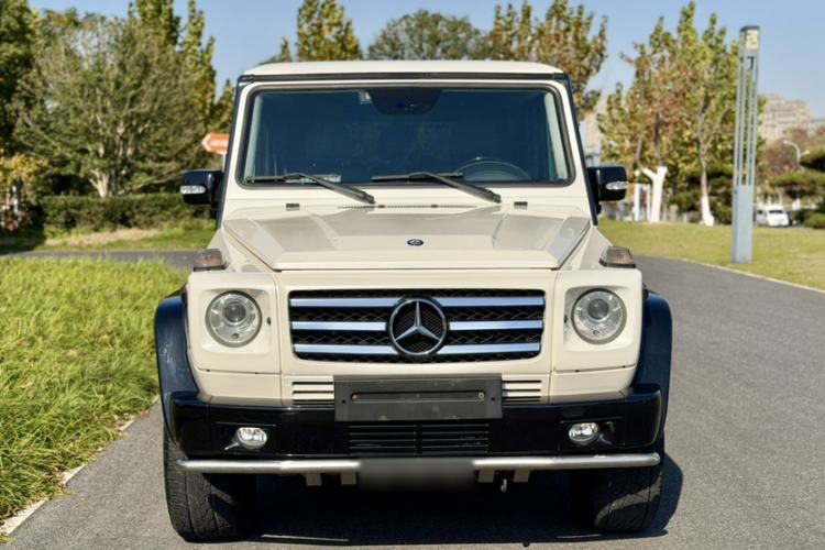 Used Mercedes-Benz G-Class 2010 G 500
