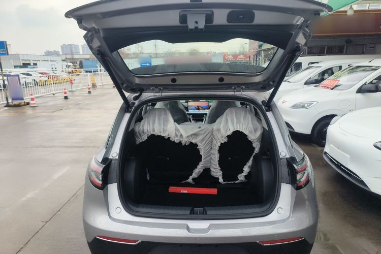 Used  Geome 2025 310km Dream Edition
