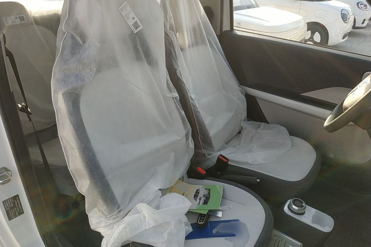 Used  Panda 2025 210 km – Yuanqi Bear
