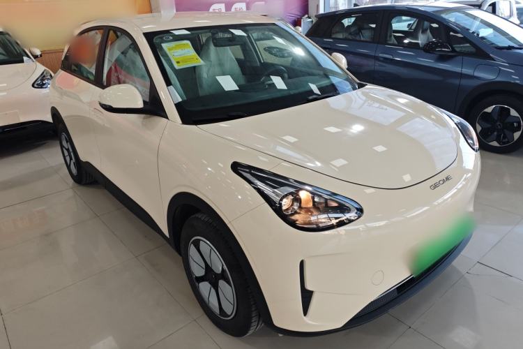 Used  Geome 2025 310km Youth Edition
