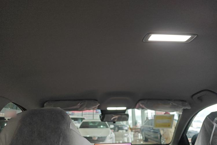 Used  Geome 2026 Model 310km Dream Edition