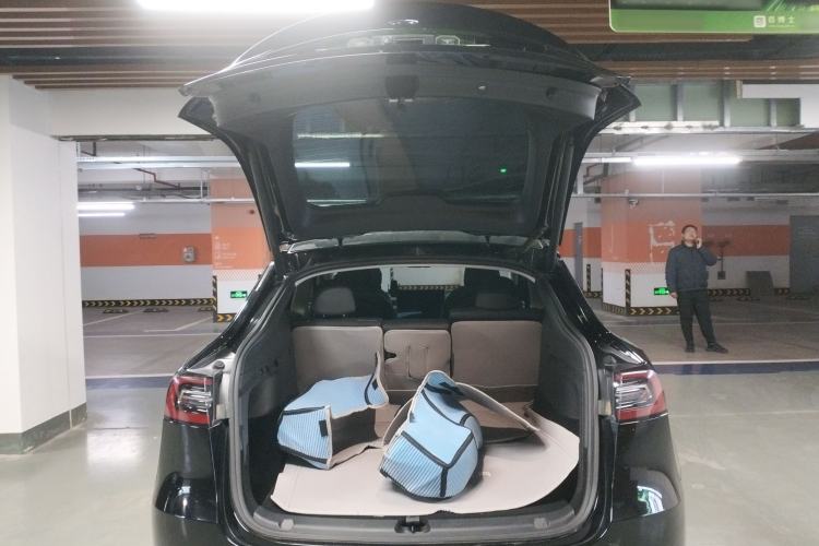 Used Tesla Model Y 2021 Standard Range Rear-Wheel Drive Version
