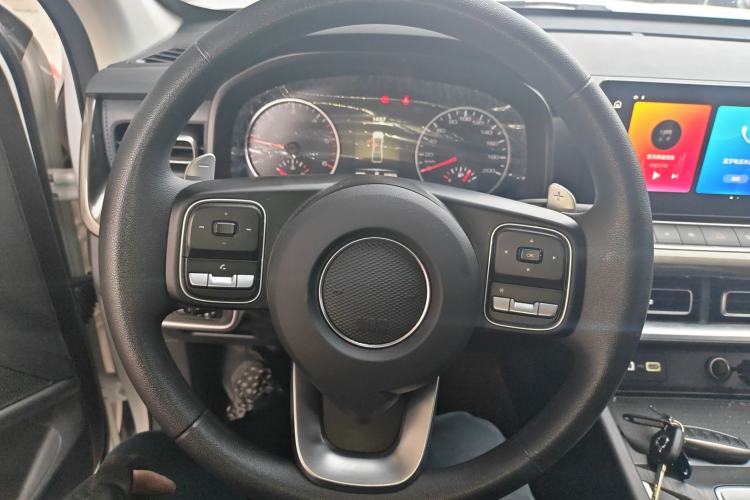 Used Great Wall Poer 2024 2.4T Commercial Version Automatic Diesel Two-Wheel Drive Elite Edition