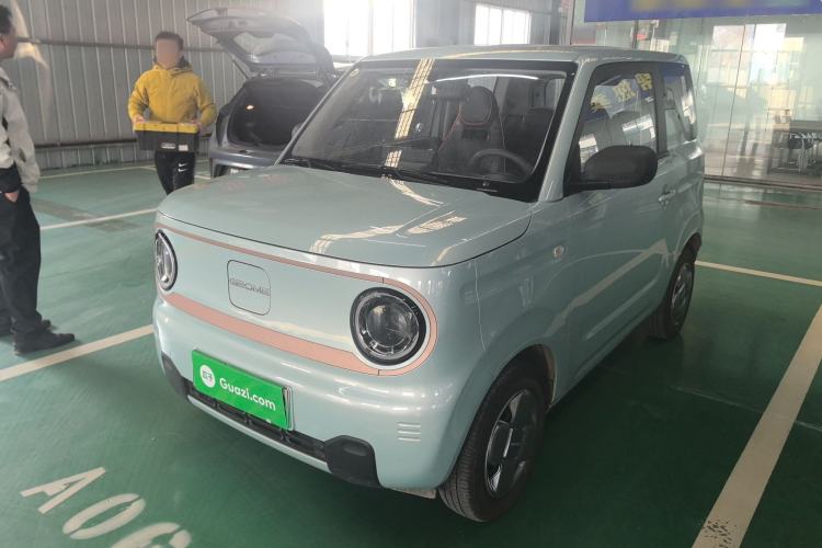 Used  Panda 2024 Panda Mini 200km Longteng PRO Edition
