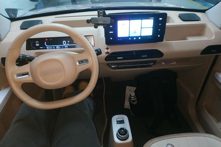 Used  Panda 2024 Panda Mini 200km Endurance Bear