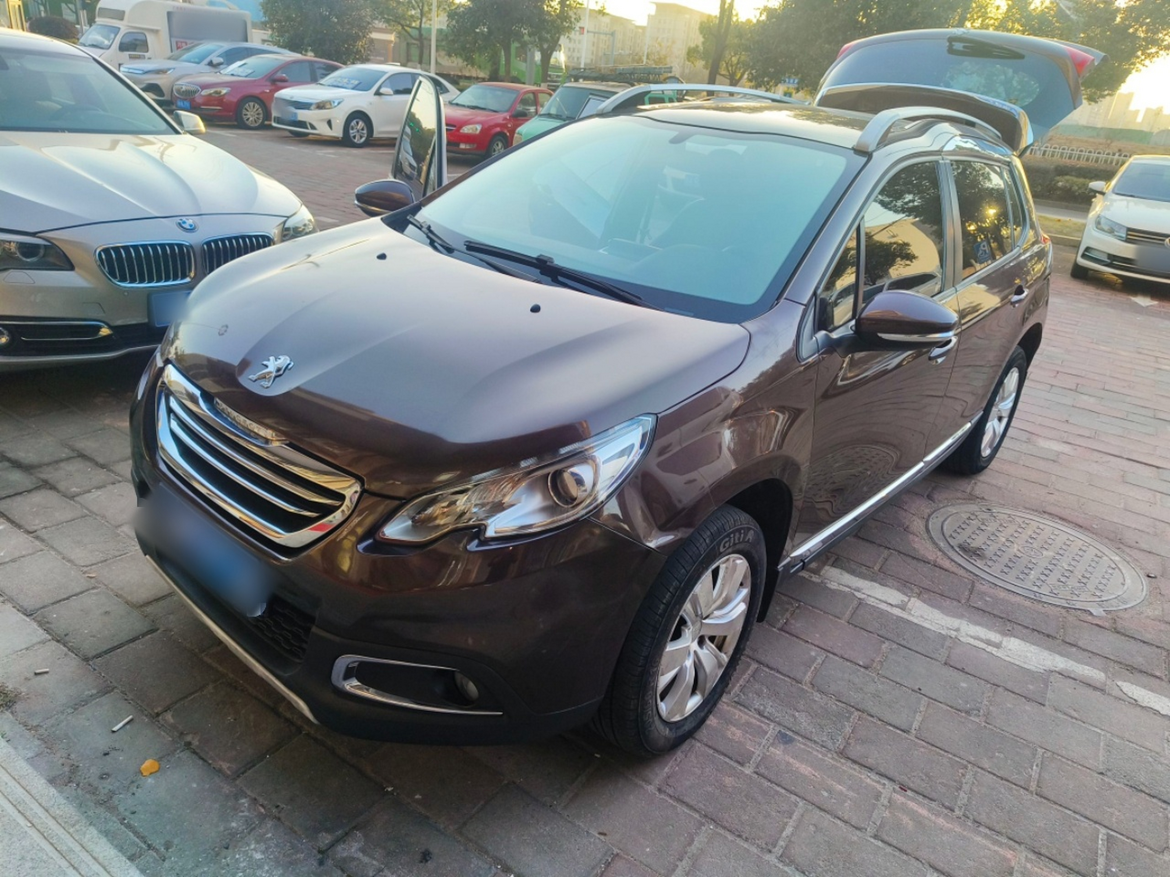 تحت مقدمة السيارة