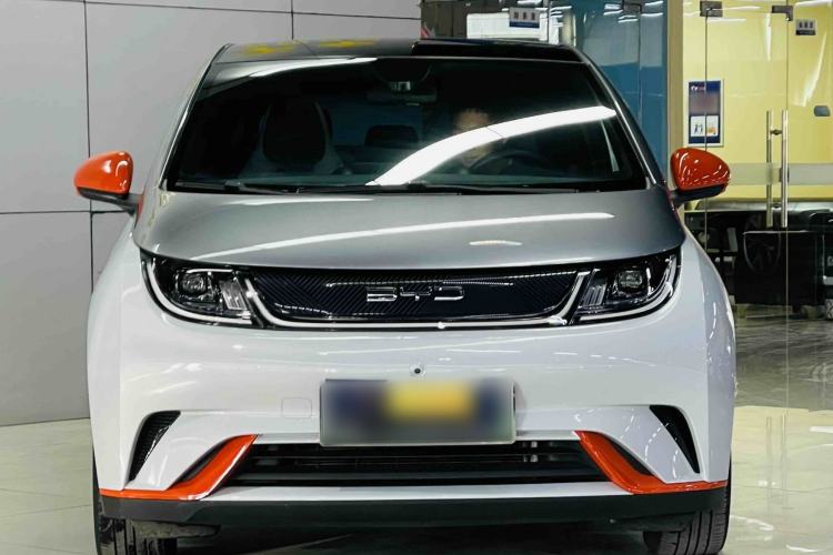 Used BYD Dolphin 2021 405 km Fashion Edition
