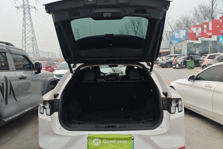 Used Ford Mustang Mach-E 2021 AION Y Plus Rear-Drive Luxury Edition (Long Range)
