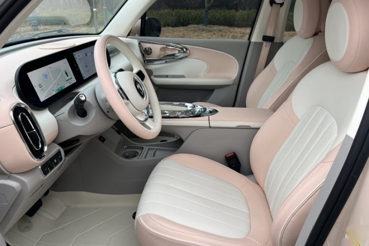 Used ORA Ballet Cat 2023 401 km Luxury Version