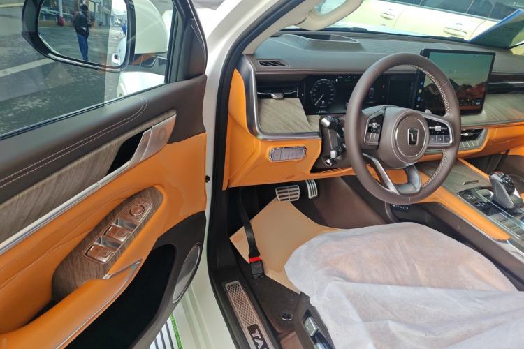 Used Tank 500 New Energy 2023 Hi4-T
