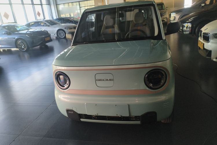 Used  Panda 2023 Panda Mini 200km Endurance Bear