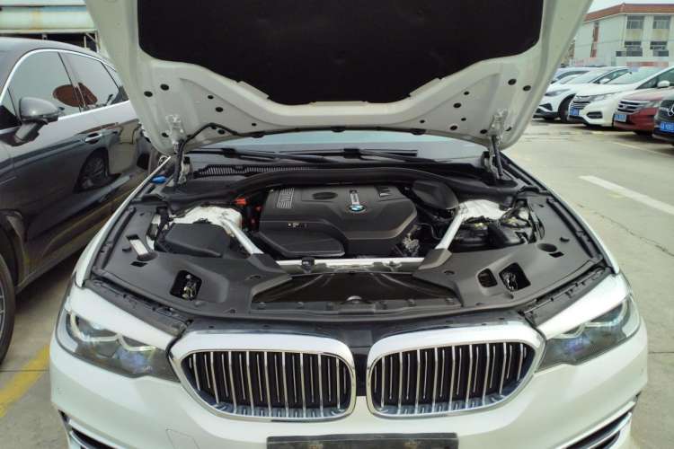 Used BMW 5 Series 2019 530Li Leading Model Luxury Package
