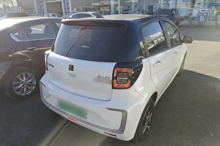 Used SOL E10X 2022 Flower Fairy Design Four-Leaf Clover