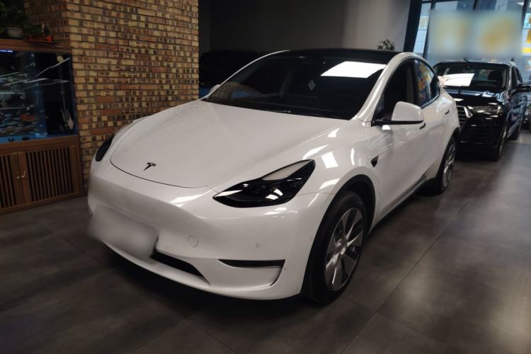 Used Tesla Model Y 2021 Standard Range Rear-Wheel Drive Version
