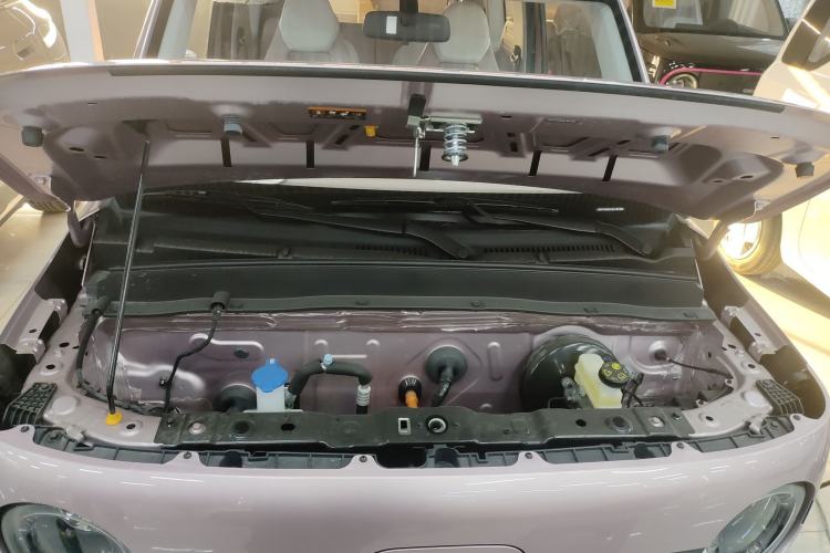 Used  Panda 2025 210 km – Yuanqi Bear
