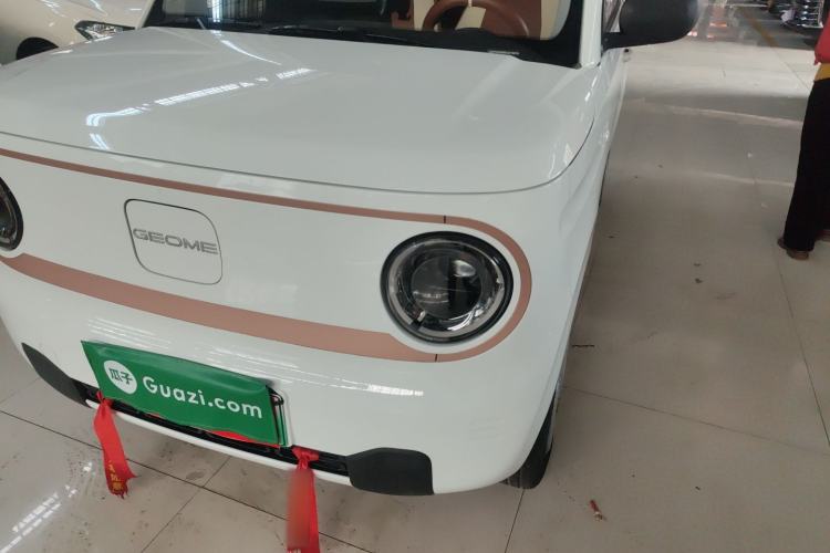 Used  Panda 2024 Panda Mini 200km Endurance Bear
