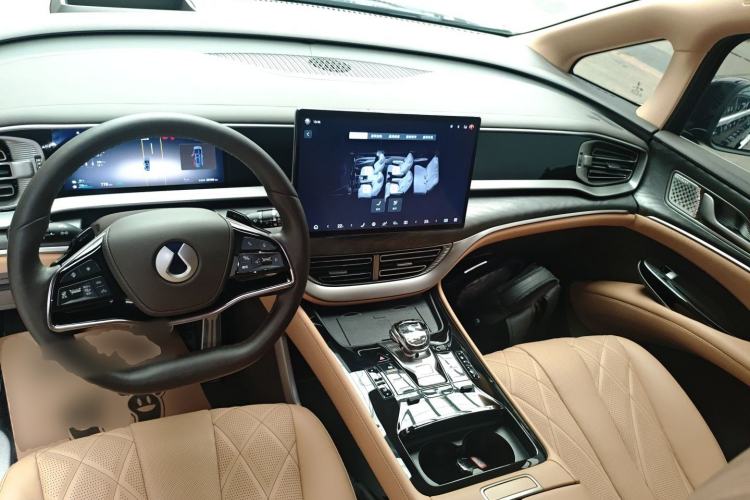 Used Denza D9 2025 DM-i Smart Drive 1020 Four-Wheel Drive Premium Model