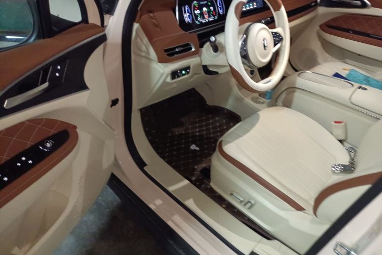 Used ORA Good Cat 2023 401 km Standard Range Luxury Version Lithium Iron Phosphate
