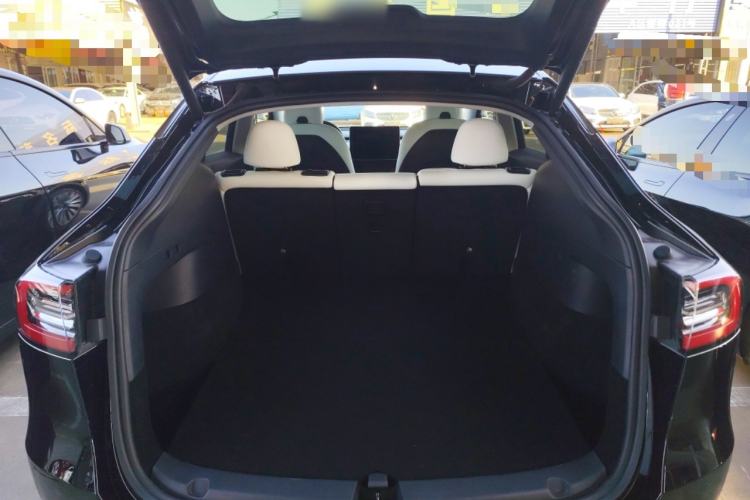 Used Tesla Model Y 2021 Standard Range Rear-Wheel Drive Version
