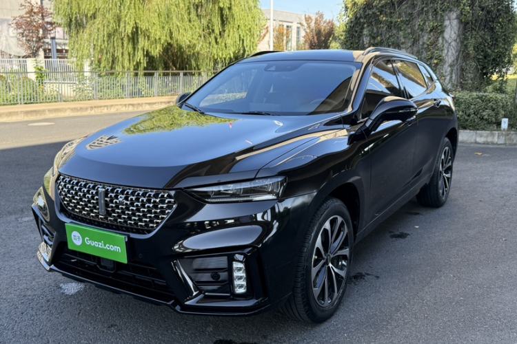 Used Wey VV7 2020 2.0T Ultra-Luxury Version
