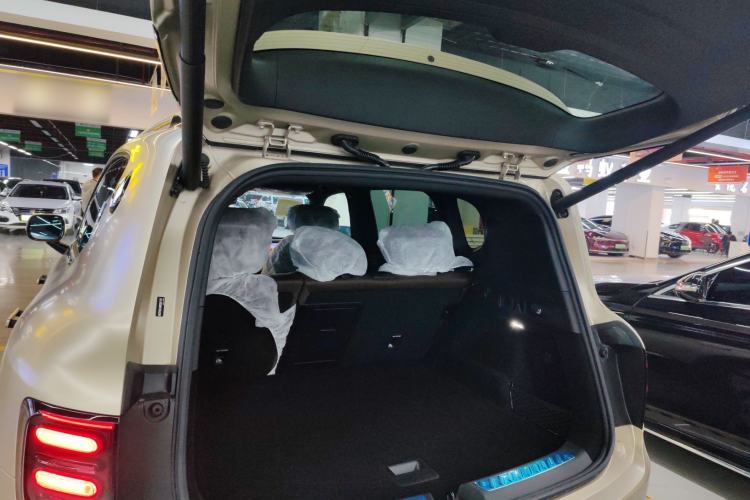 Used  #5 2024 Long-Range Journey Luxury Edition
