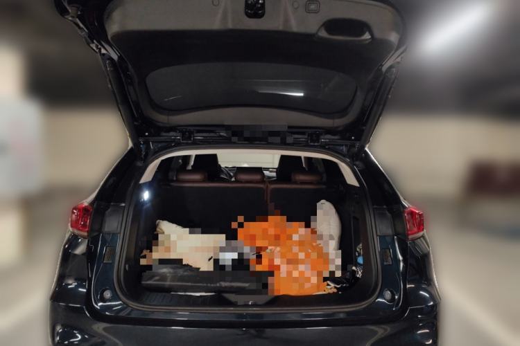 Used Wey VV7 2020 2.0T Ultra-Luxury Version
