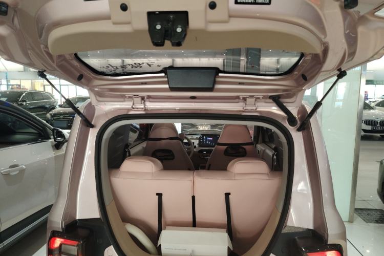 Used  Panda 2024 Panda Mini 200km Longteng PRO Edition
